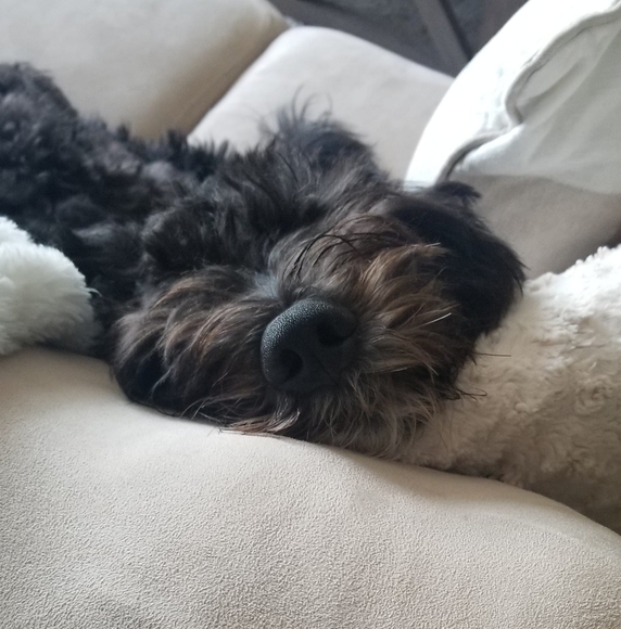 Meet your Posher, Kate - Picture 1 of 1